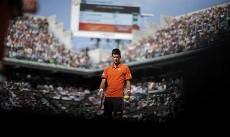 MU V CENTRU DN. Novak Djokovi bhem osmifinle Roland Garros s Richardem...
