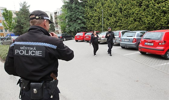 Městská policie v Havlíčkově Brodě. Ilustrační snímek