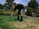 Kalifornii trápí sucho, místní se vak svých zelených trávník vzdát nechtjí a...