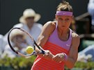 eská tenistka Lucie afáová bojuje o finále Roland Garros s Ivanoviovou.