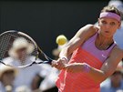eská tenistka Lucie afáová zahrává bekhend v semifinále Roland Garros.
