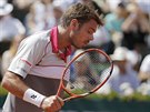 výcarský tenista Stan Wawrinka elí ve finále Roland Garros Djokoviovi.