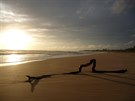 Západ slunce s "fotogenickým klackem" na Srí Lance.