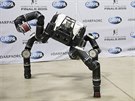 Krom humanoidních robot se soute úastnili i podivnjí stroje s koleky,...