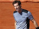 Britský tenista Andy Murray v duelu se panlem Davidem Ferrerem.