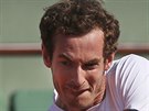 Britský tenista Andy Murray v semifinálovém souboji s Novakem Djokoviem ze...