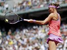 Lucie afáová returnuje ve finále Roland Garros