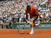 Novak Djokovi ve finle Roland Garros. Tenhle mek u dobhnout nestihl.