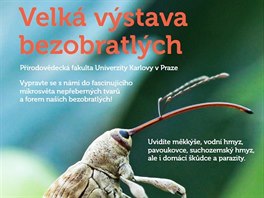 Na Velkou vstavu bezobratlch v Botanick zahrad PF UK v Praze Na Slupi zve...