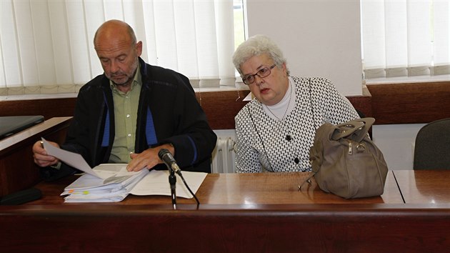 Vedouc odboru kontroly Jana Sokolov k, e o neeen dopravnch pestupk nevdla. Soud ji potrestal tletm zkazem innosti na vedoucch funkcch ve sttn sprv.