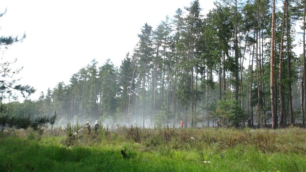 Hasii nkolik hodin likvidovali por lesnho porostu u Bentek nad Jizerou (3.6.2015)