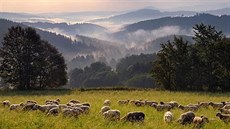 umavské léto s párou letos nabízí jízdy vlakem, který nese jméno slavného...