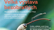 Na Velkou výstavu bezobratlých v Botanické zahrad PF UK v Praze Na Slupi zve...