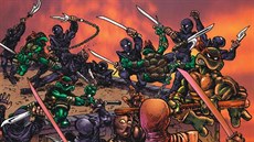 Z komiksu �elvy Ninja