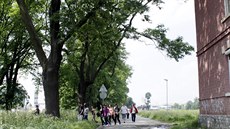 ást stromoadí v olomoucké ulici Kavalérist nakonec díky místním a...