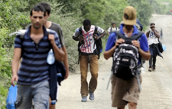 Migranti nedaleko hranic s Řeckem. (19. června 2015)