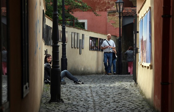 Chebské dvorky 2015. Fotografický dvorek v ulice Zavradných.