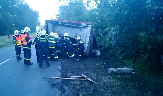 Havárie kamionu s prasaty u Valtrovic na Znojemsku (14. ervna 2015).