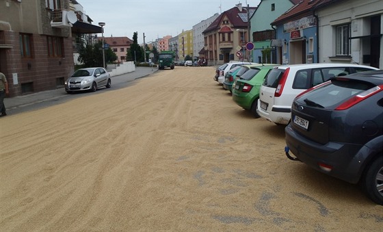 Husovu ulici v Peticích pokryla vrstva penice. (11. ervna 2015)