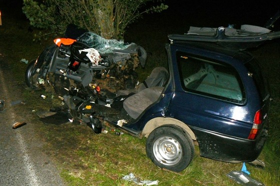 Tragická nehoda, která se stala u obce Borovice na Domalicku, si vyádala...