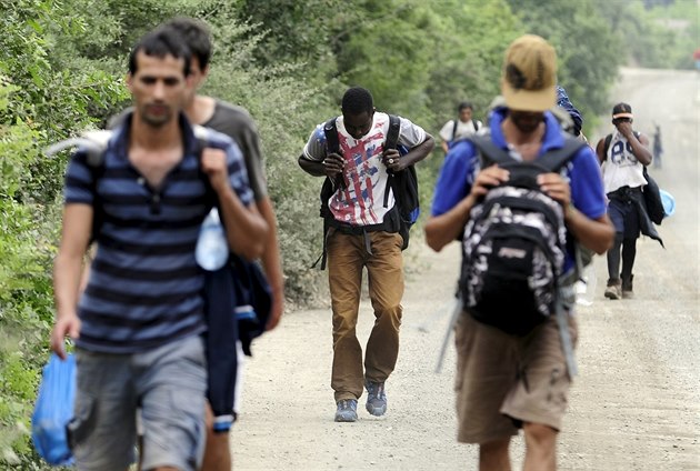 Migranti nedaleko hranic s �eckem. (19. �ervna 2015)