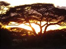 Nezapomenutelný západ slunce v národním parku Amboseli v Keni