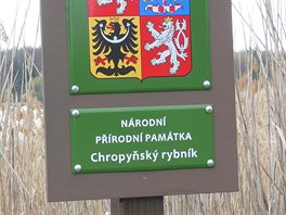 Dnes je Chropyský rybník nejstarí rezervací na Kromísku. Krom racka...