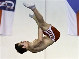 Gymnasta David Jessen, americk rodk s eskou a dnskou krv, na trninku.