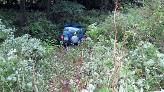 idika u Hornho Slavkova na Sokolovsku sjela s autem do potoka.