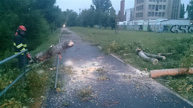 Strom spaden pes cyklostezku v Komrov hasii odklidili s pomoc motorov pily.