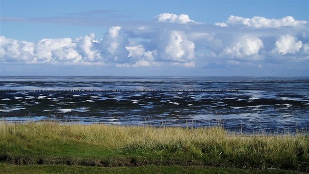 Watty za odlivu u pobřeží ostrova Sylt