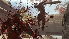 Shadow Warrior 2