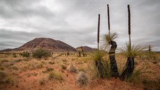 Prokousáváme se dál a dál, a k hranici Západní Austrálie.