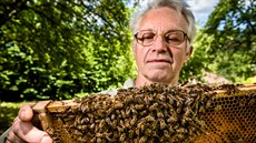 Jiří Šturma mívá každý rok řádově kolem dvaceti včelstev. Kromě toho ještě mívá...