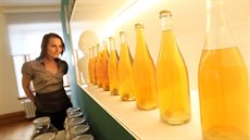 V Muzea msta Brna zaala výstav vnovaná historii piva.