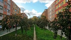 Hlavní promenáda pra�ského sídli�t� Zelená li�ka