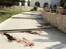 Ve východotuniském mst Sousse zaútoili teroristé na místní hotel. Pi útoku...
