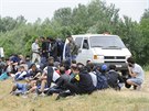 Ilegální imigranti nedaleko maarského Szegédu (25. ervna 2015)