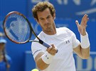 Andy Murray ve finále turnaje v Londýn.