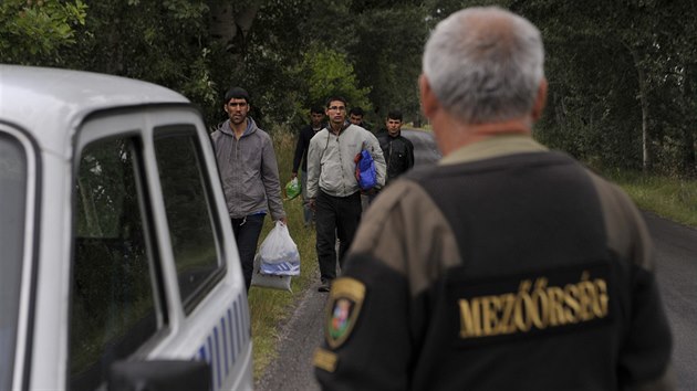 Ilegální migranti na srbsko-maďarské hranici (22. června 2015)