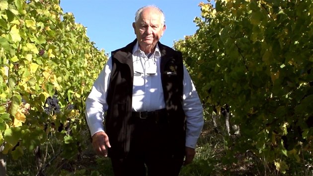 Josef Chrom ve svm vinohradu