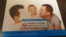 O zrovnoprávn�ní pár� �ijících v registrovaném partnerství p�i osvojování d�tí...
