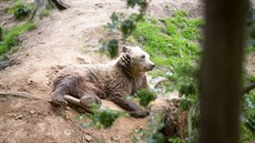 Táborská zoologická zahrada.