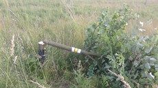 Neznámý vandal p�e�ezal pilkou v Bludov� na �umpersku na dv� desítky mladých...