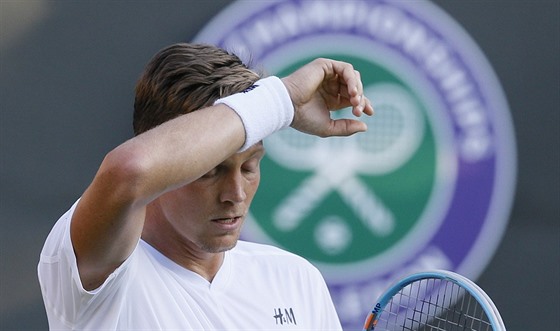 Tomá Berdych pi loském Wimbledonu. 