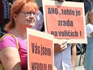 Demonstrace proti puistm v Ústí nad Labem (30. ervna 2015)