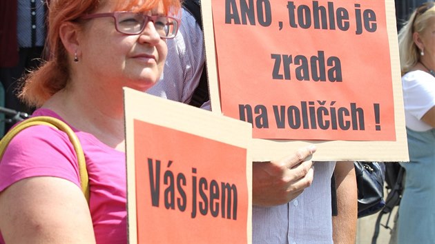 Demonstrace proti puistm v st nad Labem (30. ervna 2015)