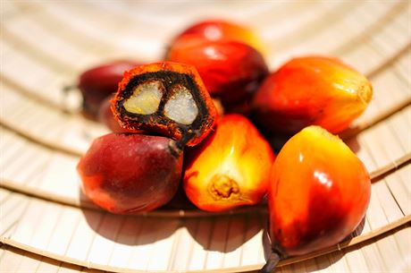 Palmové oechy, z jejich jader se vyrábí palmový olej (ilustraní snímek)
