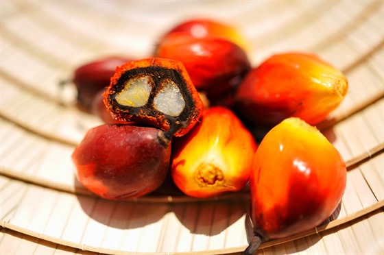 Palmové ořechy, z jejichž jader se vyrábí palmový olej (ilustrační snímek)