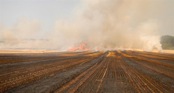 Požár pole u obce Kučeř na Písecku likvidovali jihočeští hasiči v úterý několik...